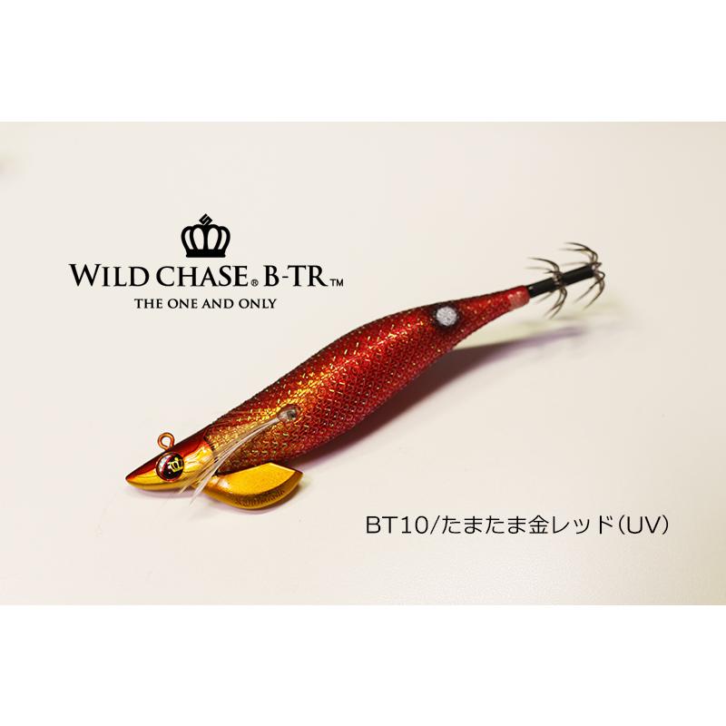SQUID MANIA（スクイッドマニア） ワイルドチェイス B-TR 3.5号 #BT10