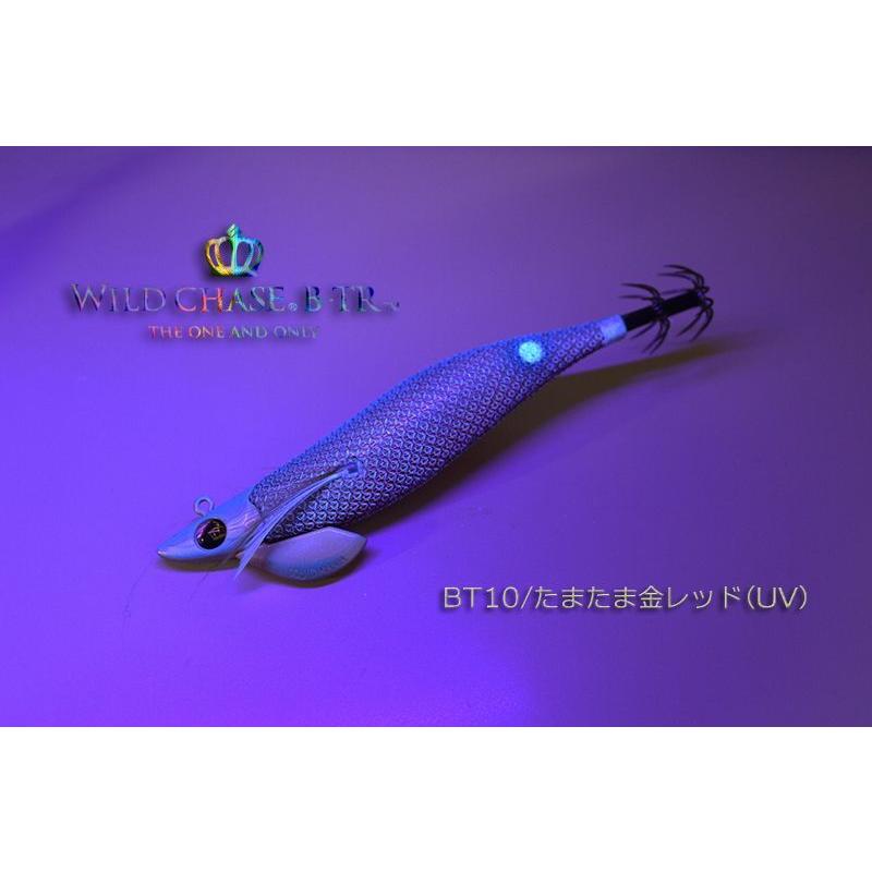 SQUID MANIA スクイッドマニア ワイルドチェイス B-TR 2.5号 SQUID MANIA スクイッドマニア ワイルドチェイス B-TR 2.5号