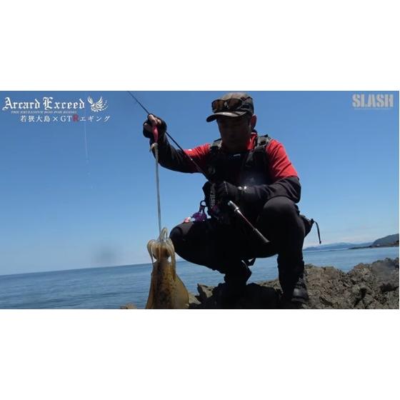 SLASH（スラッシュ） ARX-802GTR ARCARD REAL-X (アーカードリアルX