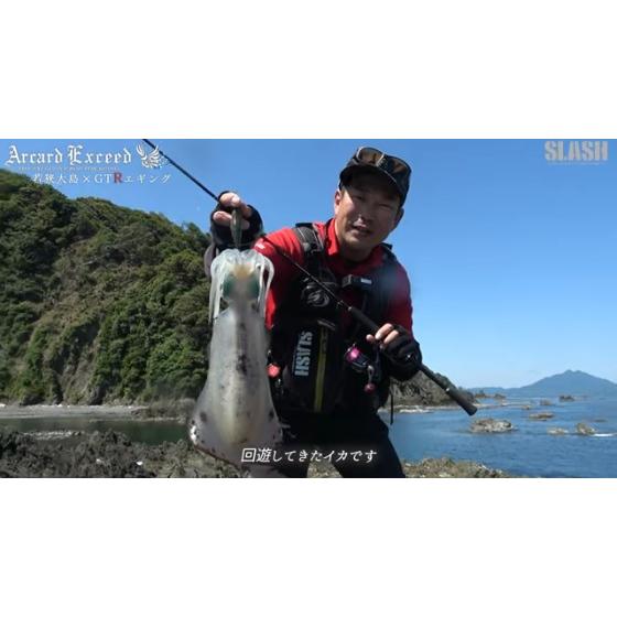 SLASH（スラッシュ） ARX-802GTR ARCARD REAL-X (アーカードリアルX