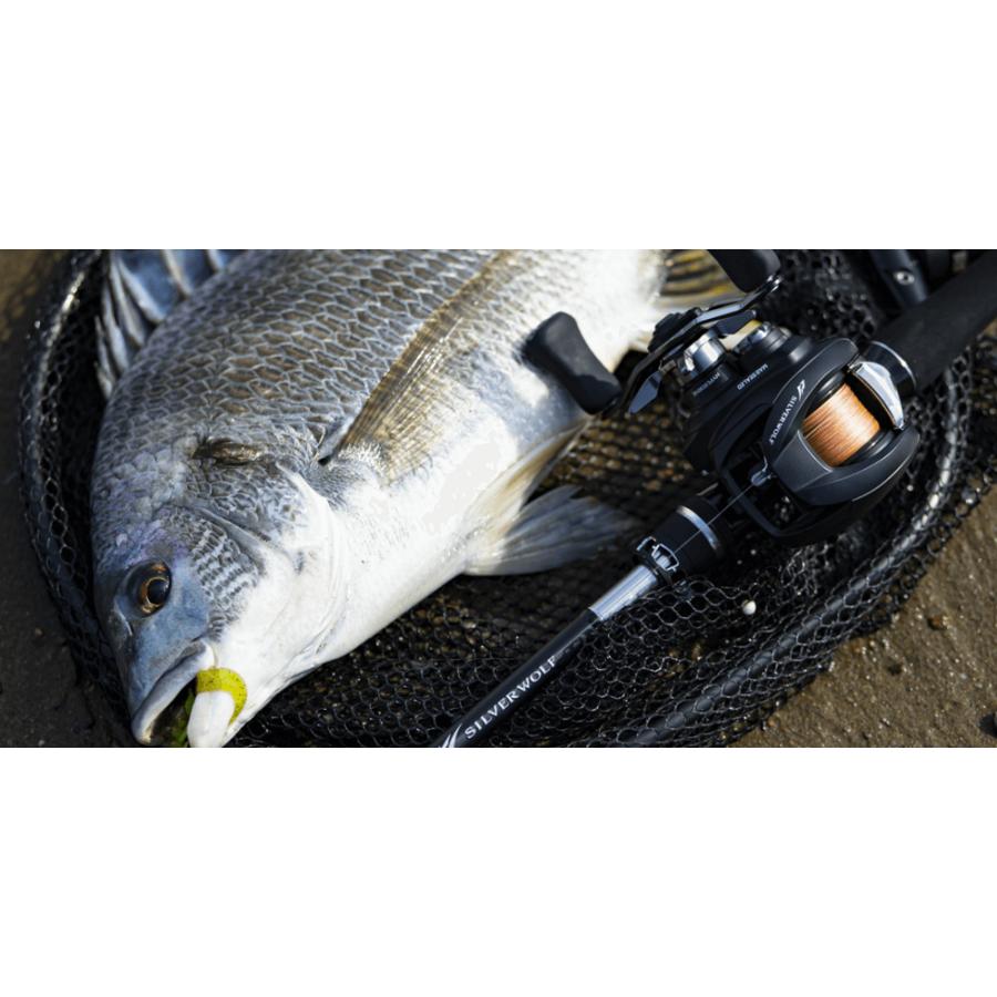 ダイワ (Daiwa) ボトルホルダー（D）シルバー : アングラーズWEB店