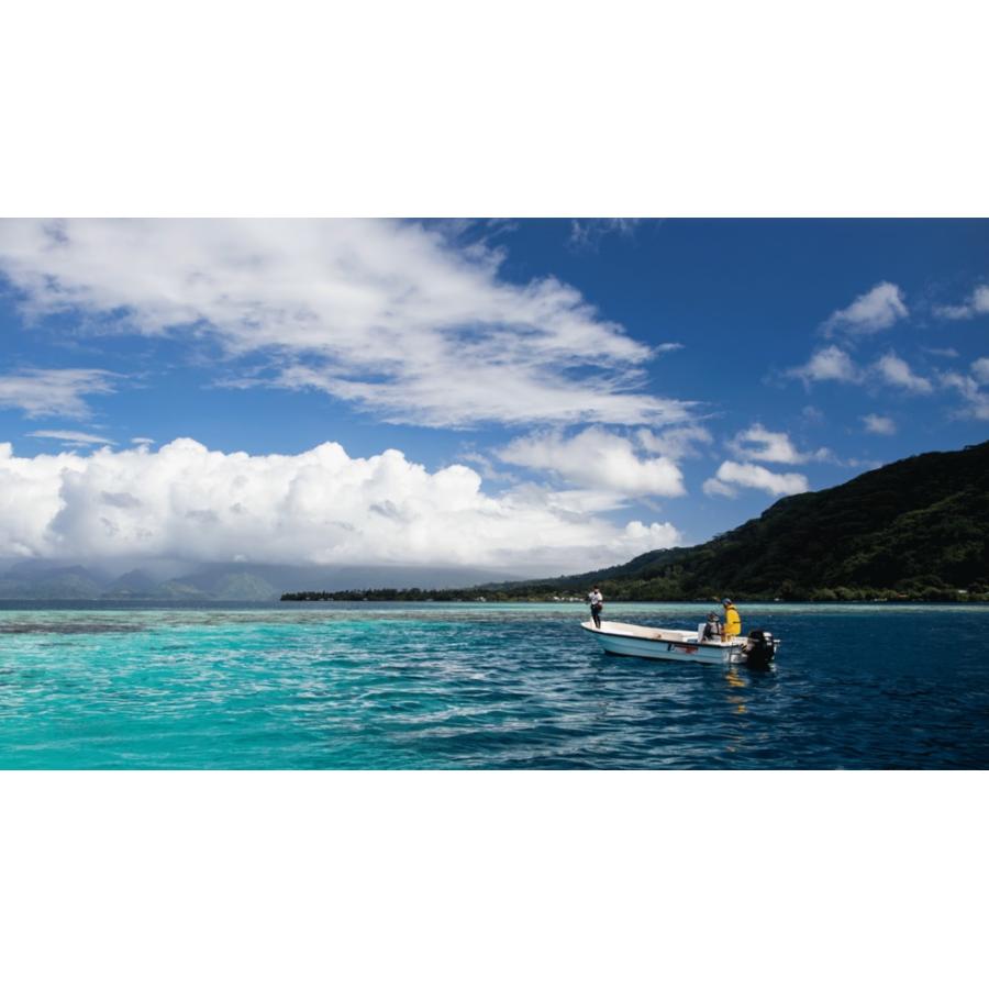 ダイワ (Daiwa) NS-301R ブラック LLサイズ (26.0〜27.0) 先丸・ロング ネオソックス