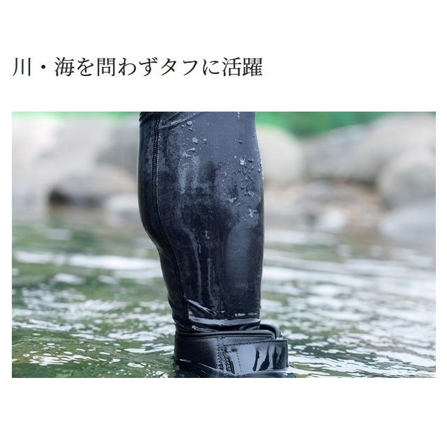 シマノ (Shimano) FW-040X ブラック LOサイズ スタンダード シマノ (Shimano) FW-040X ブラック LOサイズ スタンダード