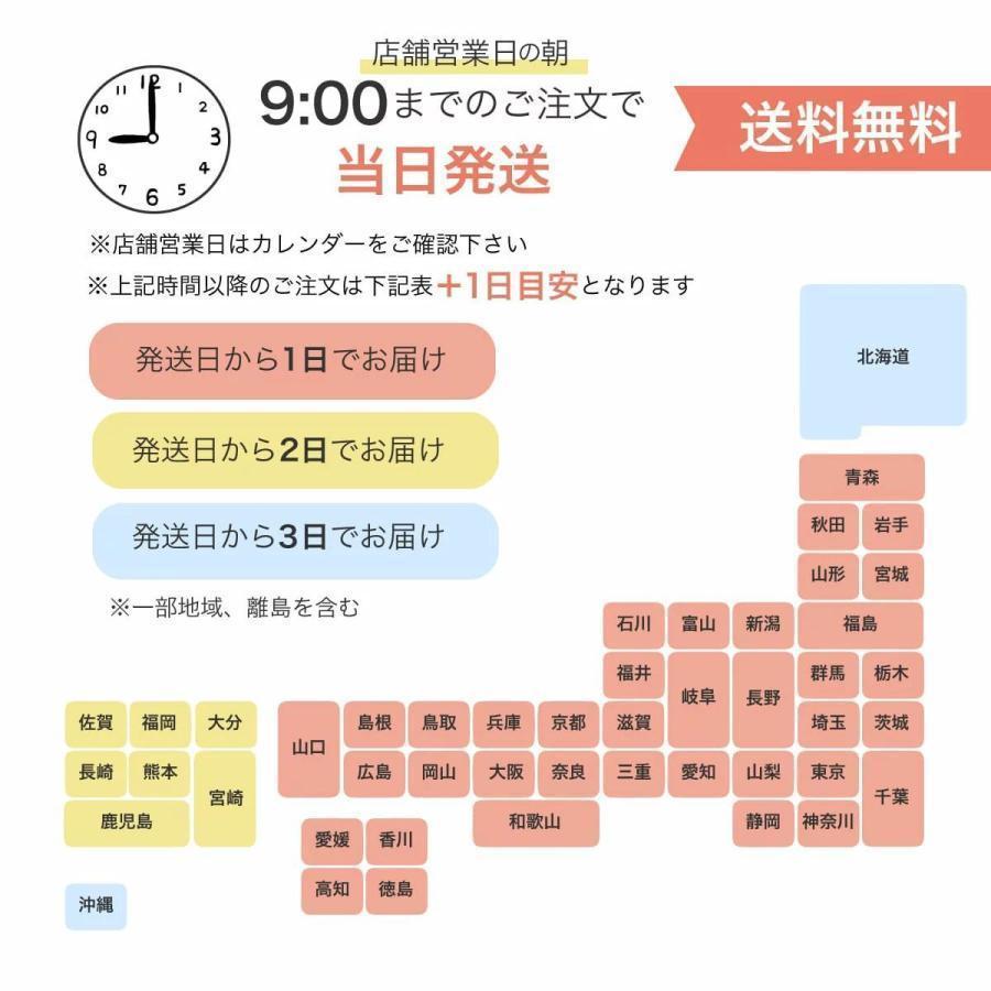 ポケット たくさん バッグ 多収納 ショルダーバッグ スポーツブランド レディース ナイロンショルダーバック 2way リュック ラシット｜angstore｜19