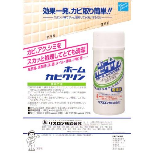 安い リスロン ホームカビクリン 4l 送料無料 Zoetalentsolutions Com
