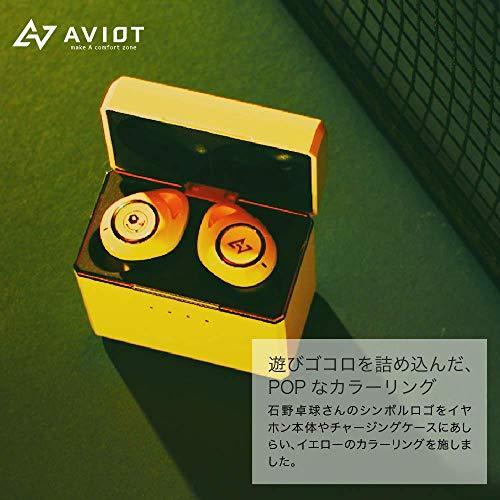 石野卓球 × AVIOT コラボモデル TE-D01d mk2-TQ : WIIL