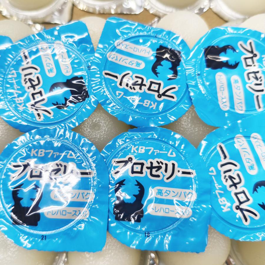 KBファーム プロゼリー 16g×50個 国産 高タンパク 昆虫ゼリー バナナ味 クワガタ カブトムシ |  | 02