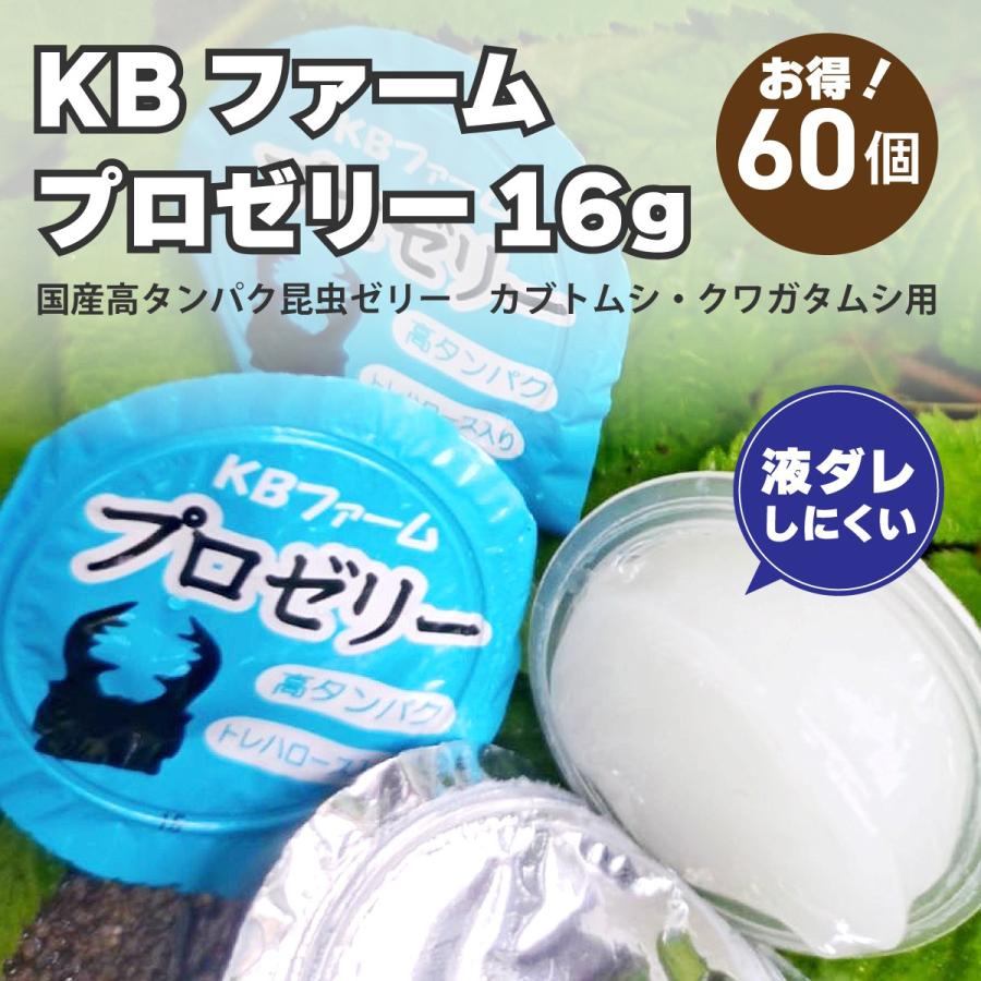 お得！KBファーム プロゼリー 16g×60個 国産 高タンパク 昆虫ゼリー バナナ味 クワガタ カブトムシ 成虫用 | 