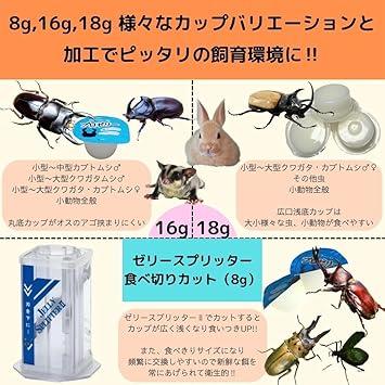 お得！KBファーム プロゼリー 16g×60個 国産 高タンパク 昆虫ゼリー バナナ味 クワガタ カブトムシ 成虫用 |  | 05