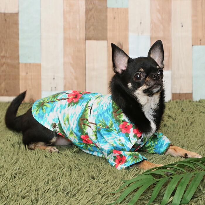 【送料無料】50%off 犬服 ドッグウェア 犬  襟付 ドッグ ペットウエア ホワイト ネイビー ターコイズ アロハシャツ S  M L XL 花柄 パイナップル柄  kr263 |  | 04