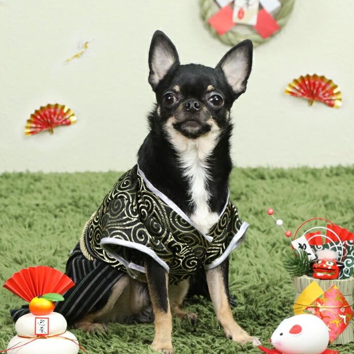 送料無料】30%off ワンコ ニャンコ 犬服 猫服 和服 羽織 袴 晴れ着