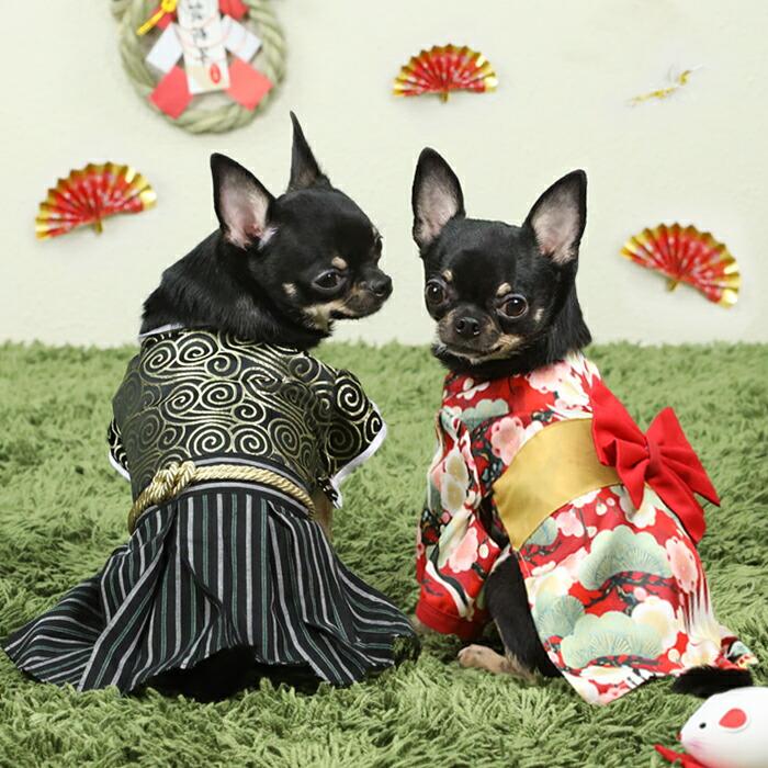 【送料無料】30%off ワンコ　ニャンコ　犬服　猫服　和服　羽織　袴　晴れ着　着物　ドッグウェア　キャットウェア　お祝い  おうちコーデ krd02 |  | 07