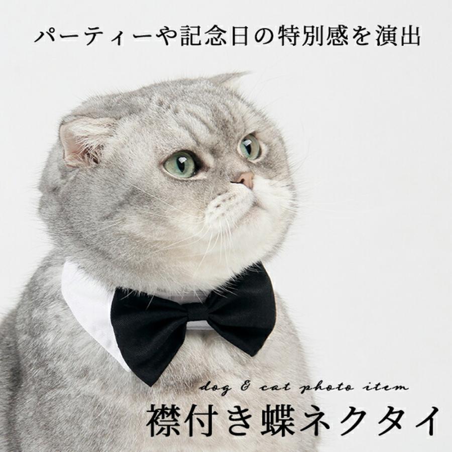 【送料無料】 ＼1000円ポッキリ／ フォーマル おしゃれ 蝶ネクタイ マジックテープ パーティー 結婚式 プレゼント リボン 写真撮影  記念 お出掛け  krd15 | 