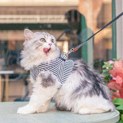 【送料無料】ハーネス 胴輪 リード付き 犬 猫 おしゃれ ストライプ柄 ダブルロック マジックテープ ベスト型 ブラック レッド  散歩 お出かけ krd19 |  | 02