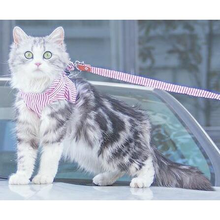 【送料無料】ハーネス 胴輪 リード付き 犬 猫 おしゃれ ストライプ柄 ダブルロック マジックテープ ベスト型 ブラック レッド  散歩 お出かけ krd19 |  | 04