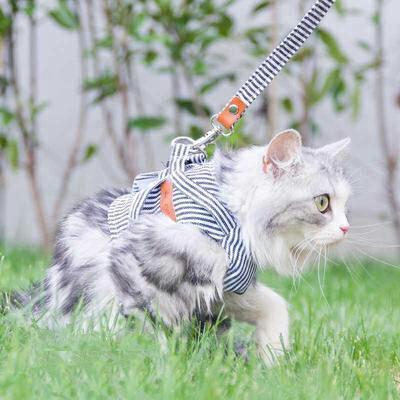 【送料無料】ハーネス 胴輪 リード付き 犬 猫 おしゃれ ストライプ柄 ダブルロック マジックテープ ベスト型 ブラック レッド  散歩 お出かけ krd19 |  | 03