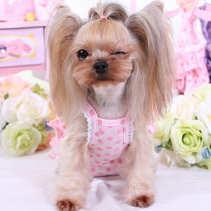 【送料無料】サニタリー フリル ドット柄 マナー 介護 老犬 生理 サロペット つなぎ カバー マジックテープ 調整可能 おむつ 可愛い おしゃれ krd29 |  | 01