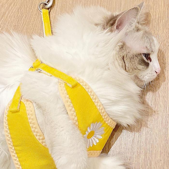 【送料無料】ハーネス リード ポーチ セット 花柄 犬 猫 ペット メッシュ 胴輪 刺繍 小型犬 中型犬 青 黄色 ピンク krd31 |  | 01