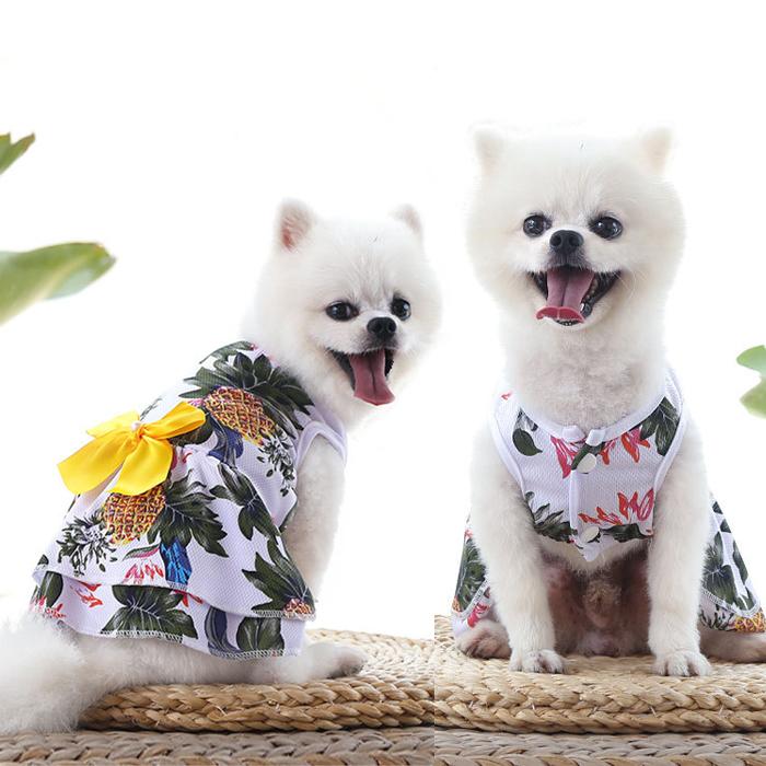 【送料無料】50％off ペットウェア ドック キャット 犬 猫 服 小型犬 ベビー アロハ ハワイ ワンピ リボン フリル 前開き メッシュ 可愛い krd38 |  | 01