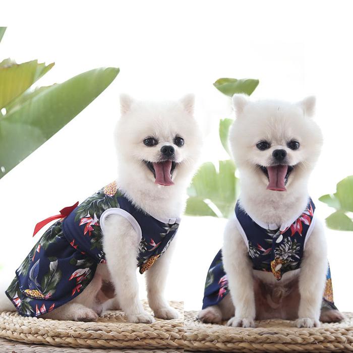 【送料無料】50％off ペットウェア ドック キャット 犬 猫 服 小型犬 ベビー アロハ ハワイ ワンピ リボン フリル 前開き メッシュ 可愛い krd38 |  | 02