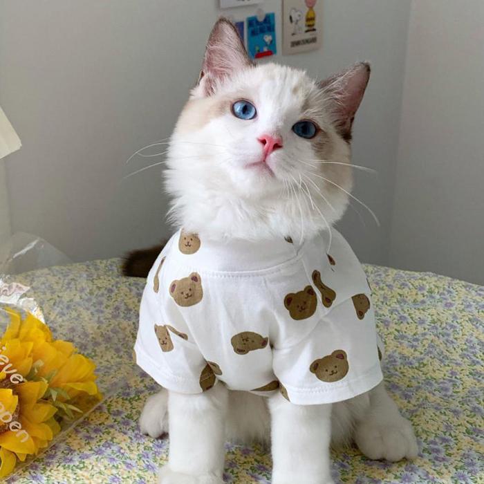 【送料無料】＼1000ポッキリ／ 犬服 ドッグウェア 猫服 キャットウェア 映え 半袖 犬 猫 カジュアル カットソー 抜け毛防止  ペット服 ペットウェア くま krd53 |  | 01