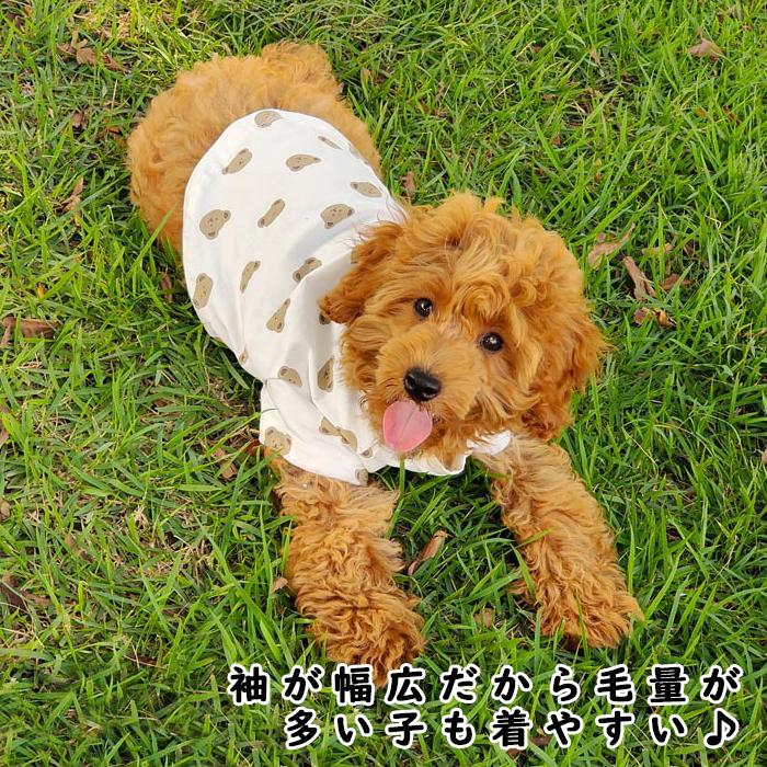 【送料無料】＼1000ポッキリ／ 犬服 ドッグウェア 猫服 キャットウェア 映え 半袖 犬 猫 カジュアル カットソー 抜け毛防止  ペット服 ペットウェア くま krd53 |  | 05