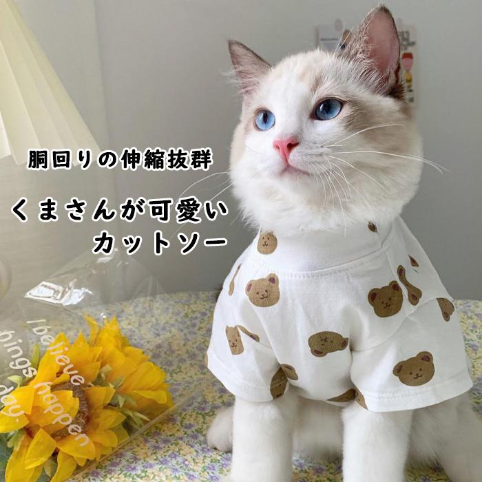 【送料無料】＼1000ポッキリ／ 犬服 ドッグウェア 猫服 キャットウェア 映え 半袖 犬 猫 カジュアル カットソー 抜け毛防止  ペット服 ペットウェア くま krd53 |  | 02