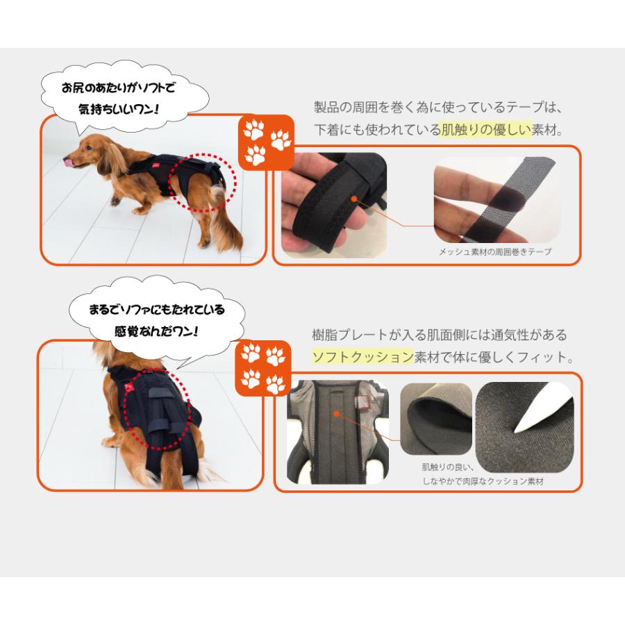 anifull 公式】 わんコル Mサイズ レッド 持ち手つき アニフル