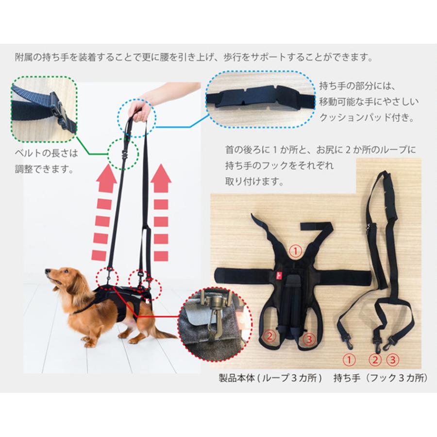 anifull 公式】 わんコル Mサイズ ブラック 持ち手つき アニフル 犬用