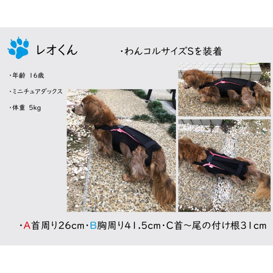 anifull 公式】 わんコル Mサイズ ブラック 持ち手つき アニフル 犬用