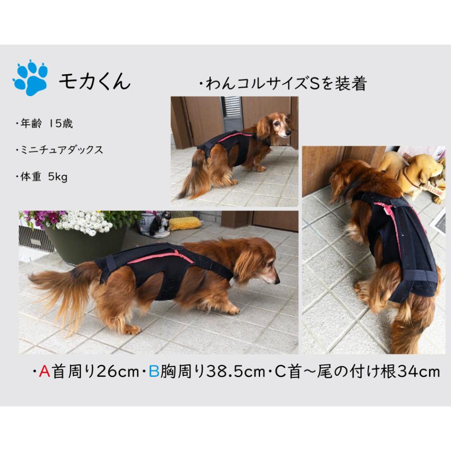 anifull 公式】 わんコル Mサイズ ブラック 持ち手つき アニフル 犬用