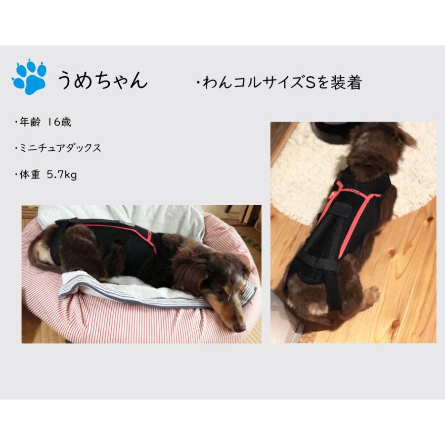 anifull 公式】 わんコル Mサイズ ブラック 持ち手つき アニフル 犬用
