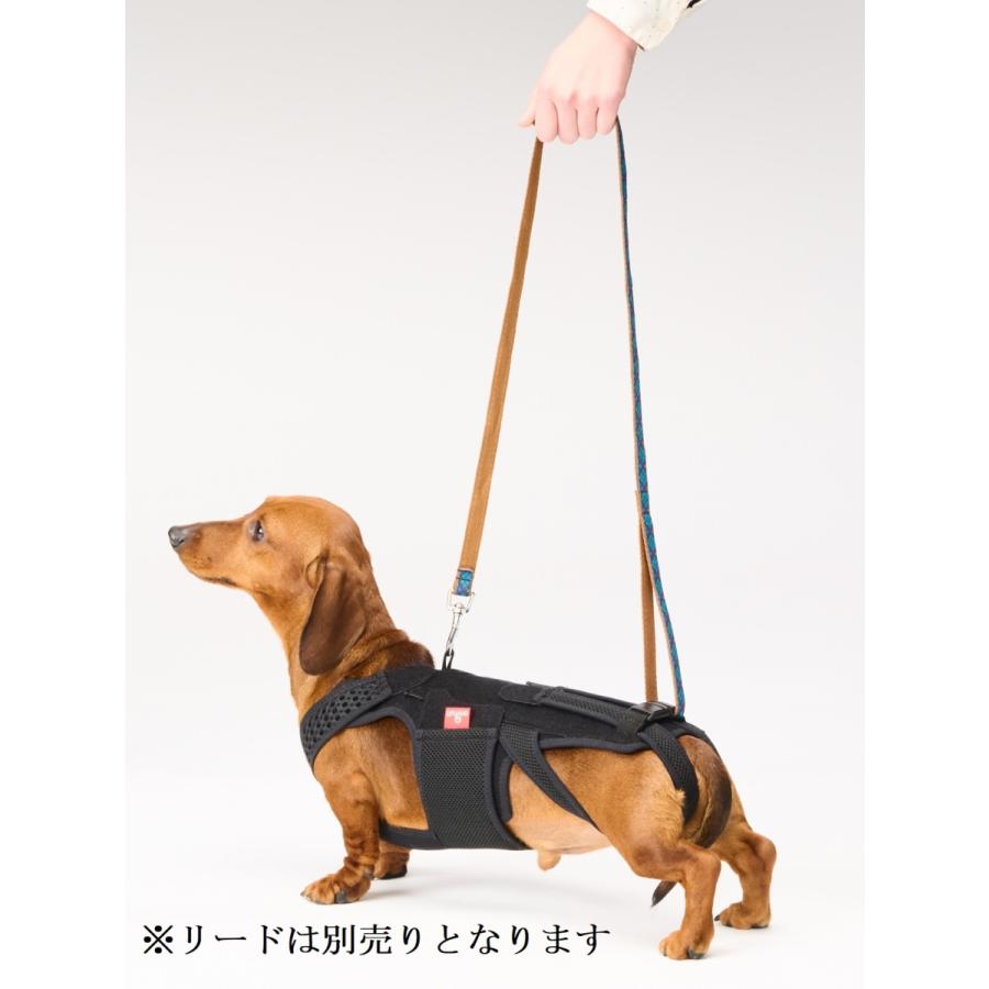 犬用コルセット　アニフル　わんコル 持ち手つき ソフトタイプ　Mサイズ　ブラック わんコル 持ち手つき ソフトタイプ 犬用 コルセット サポーター