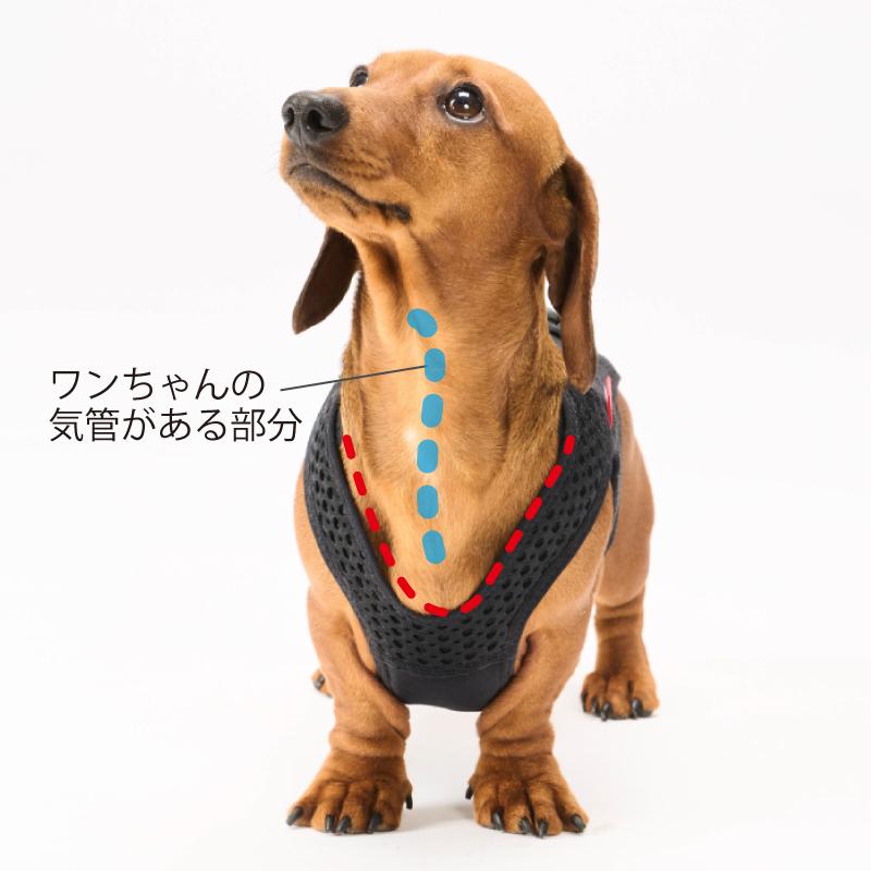 anifull 公式】 わんコル With Sサイズ アニフル ダイヤ工業 日本製 犬