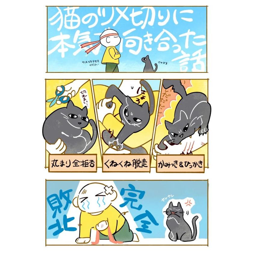 anifull 公式】アニサポ にゃんケアチョッキ ブラック 送料込 アニフル
