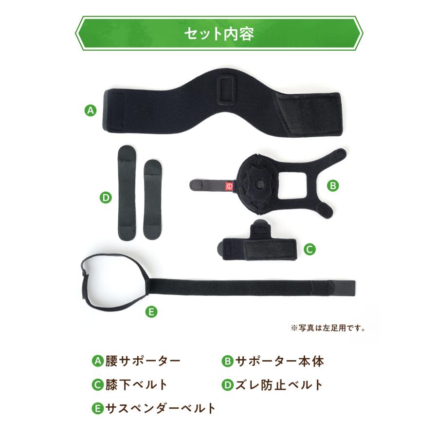 anifull 公式】 アニサポ パテラン 右 Mサイズ 小型犬向け アニフル