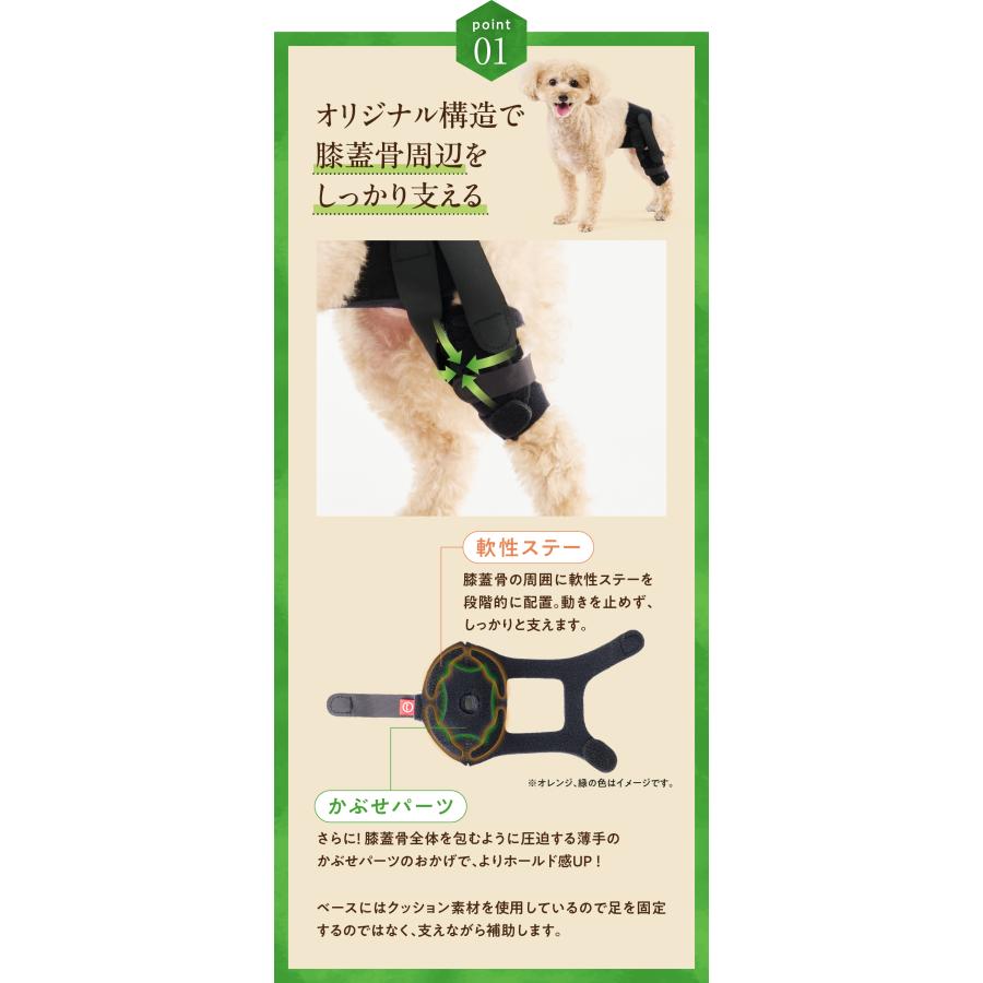 anifull 公式】 アニサポ パテラン 右 XSサイズ 小型犬向け アニフル