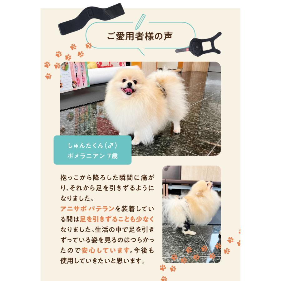 anifull 公式】 アニサポ パテラン 右 XSサイズ 小型犬向け アニフル