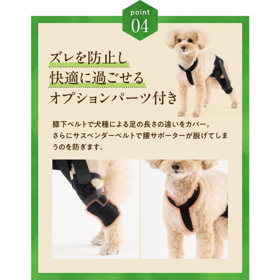 anifull 公式】 アニサポ パテラン 左 Mサイズ 小型犬向け アニフル