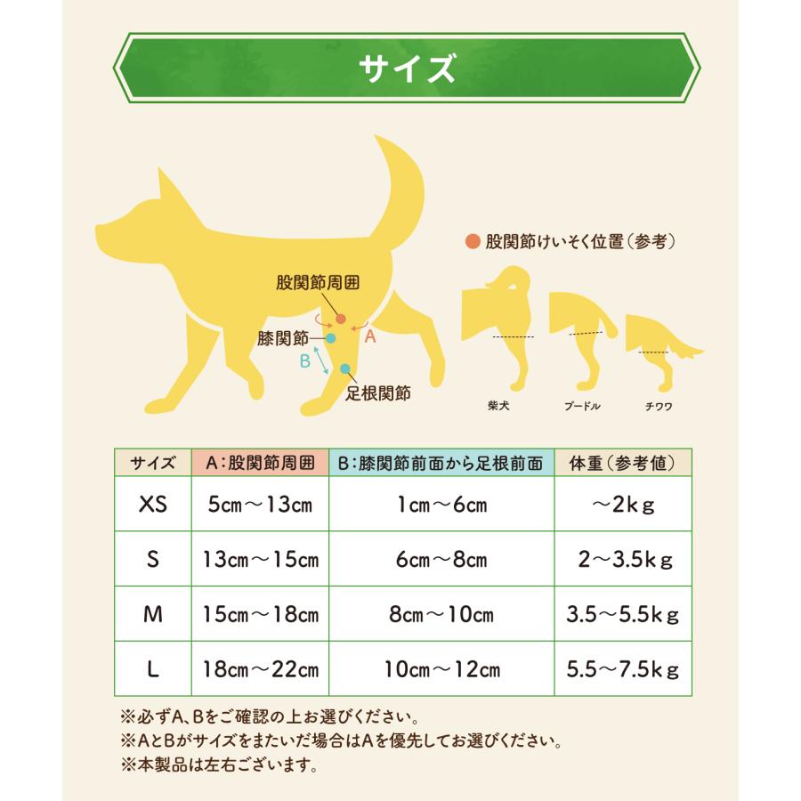 anifull 公式】 アニサポ パテラン 左 Mサイズ 小型犬向け アニフル