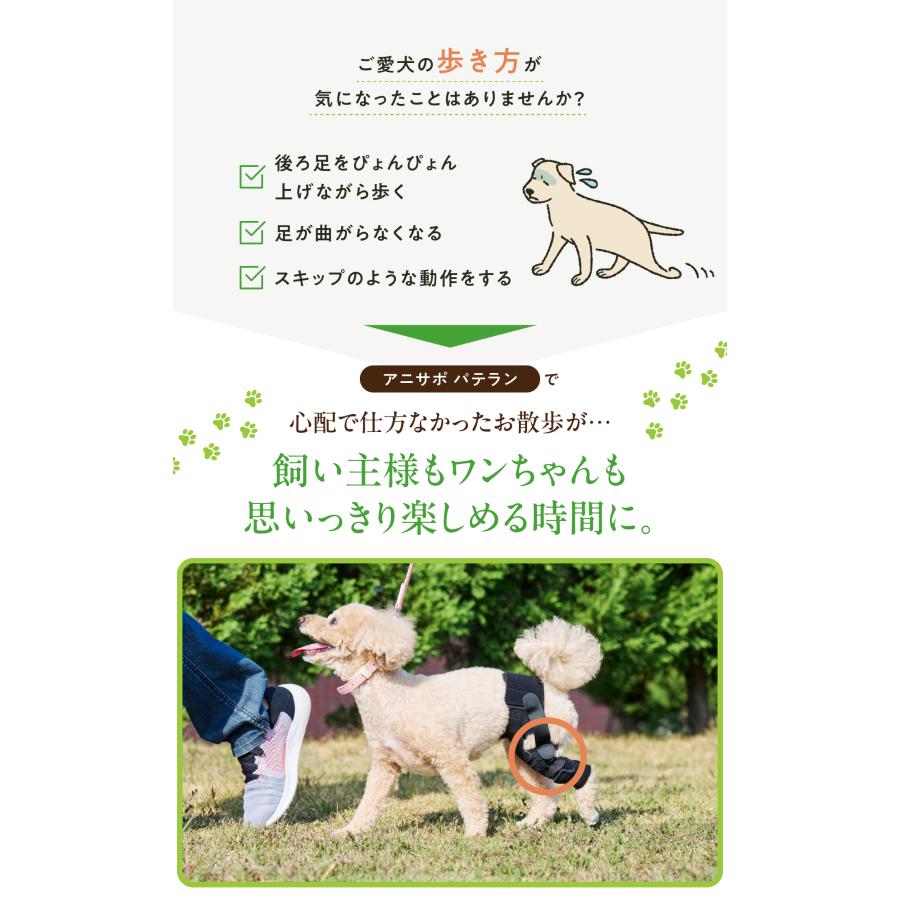 anifull 公式】 アニサポ パテラン 左 Sサイズ 小型犬向け アニフル