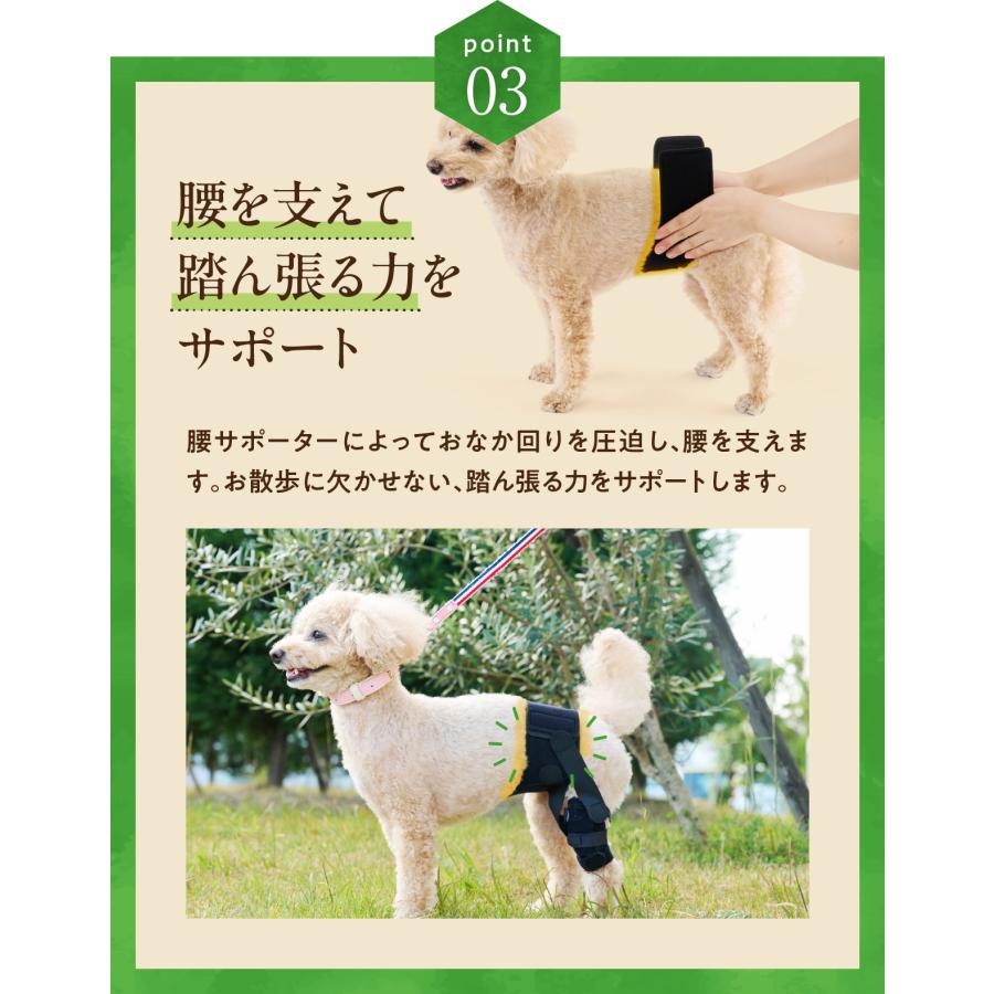 anifull 公式】 アニサポ パテラン 左 Sサイズ 小型犬向け アニフル