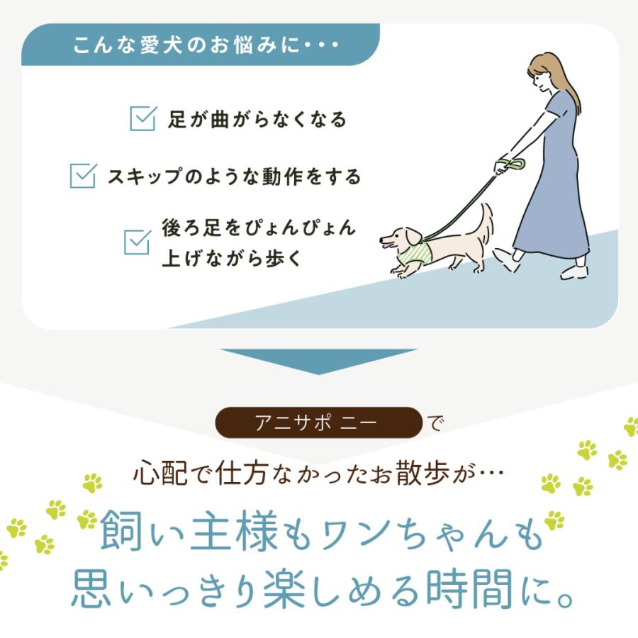 anifull 公式】 アニサポ ニー 右 XSサイズ アニフル 犬 犬用 パテラ