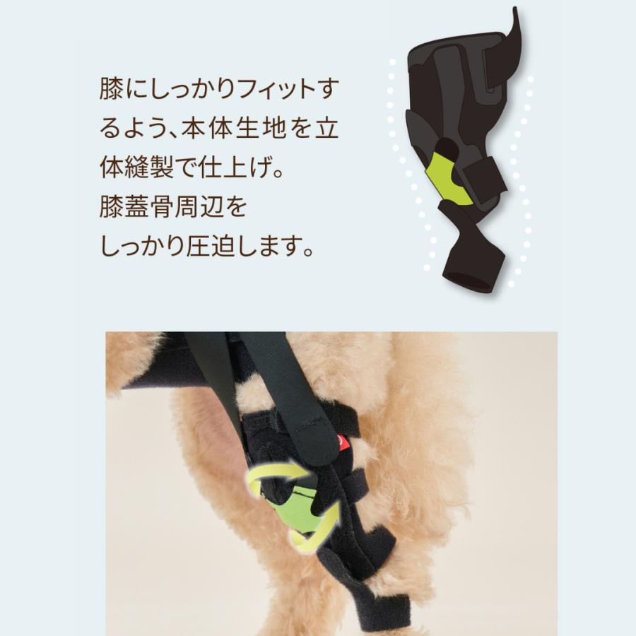 anifull 公式】 アニサポ ニー 左 M アニフル ダイヤ工業 日本製 犬 犬