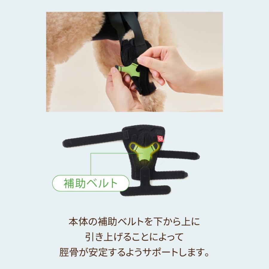 anifull 公式】 アニサポ ニー 左 M アニフル ダイヤ工業 日本製 犬 犬