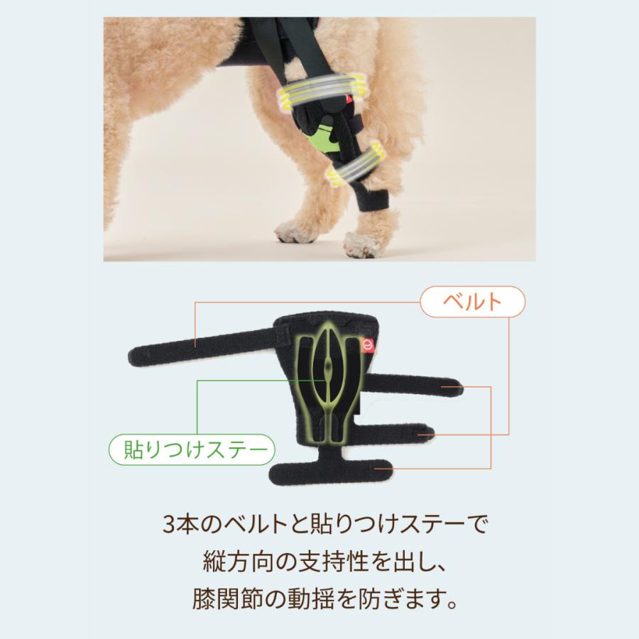 anifull 公式】 アニサポ ニー 左 M アニフル ダイヤ工業 日本製 犬 犬