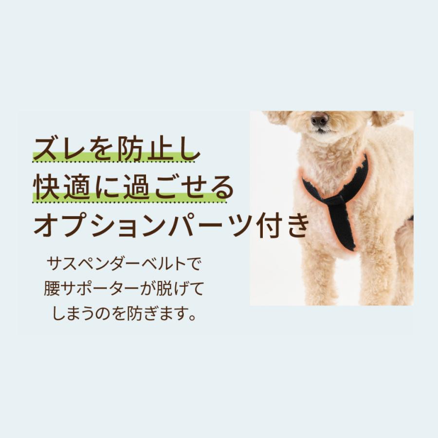 anifull 公式】 アニサポ ニー 左 M アニフル ダイヤ工業 日本製 犬 犬