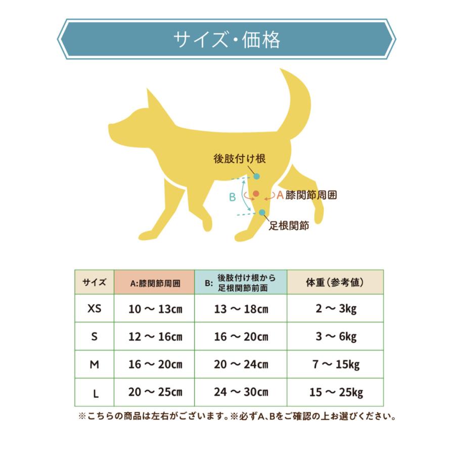 【anifull 公式】 アニサポ ニー 左 Mサイズ アニフル  犬 犬用 パテラ 膝蓋骨脱臼 前十字靭帯 膝パット 膝固定 簡易装着 お散歩 膝サポーター_9