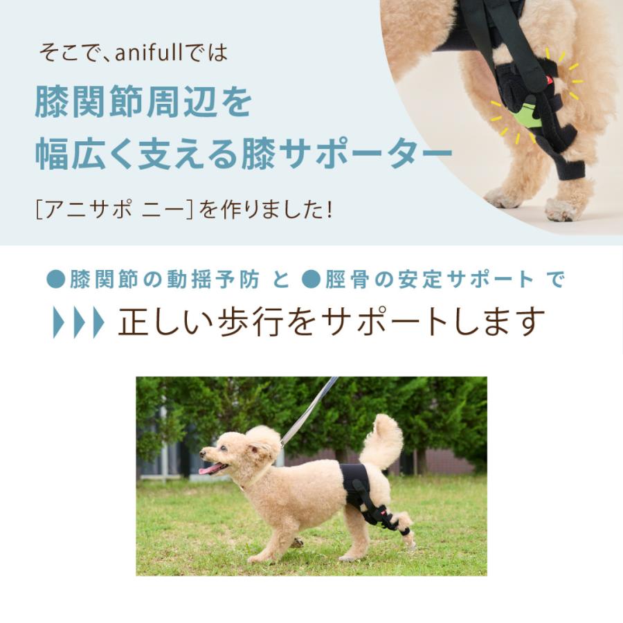 anifull 公式】 アニサポ ニー 左 Sサイズ アニフル 犬 犬用 パテラ