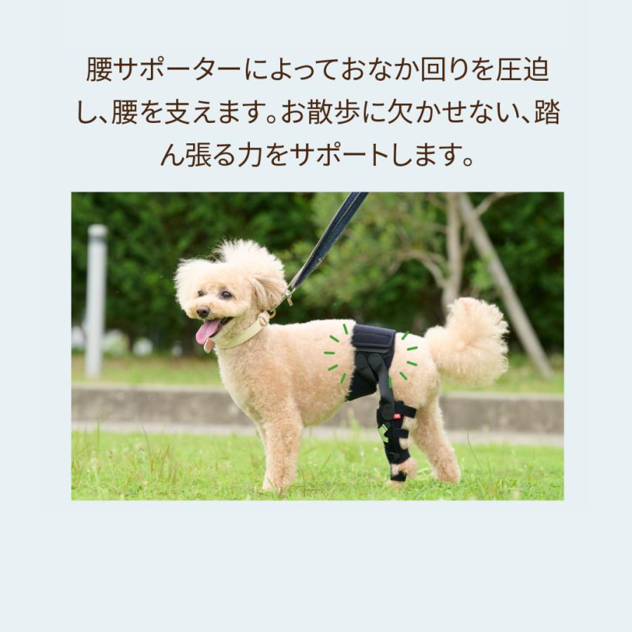 anifull 公式】 アニサポ ニー 左 XSサイズ アニフル 犬 犬用 パテラ